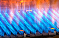 Melplash gas fired boilers